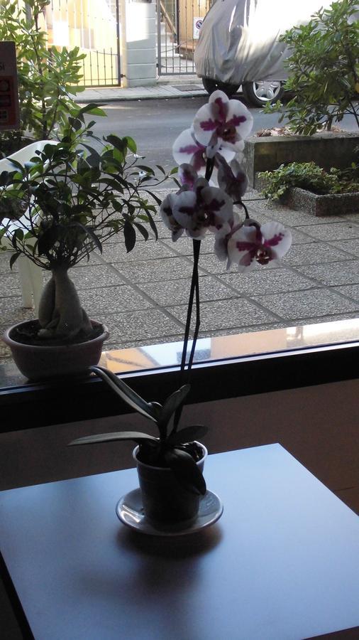 Hotel Elde Riccione Zewnętrze zdjęcie